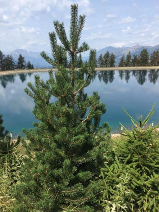Appart Tres Ensoleille 5-6 Pers Au Pied Des Pistes アンセル エクステリア 写真
