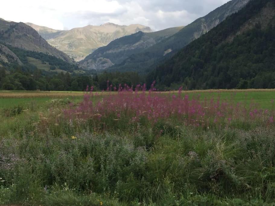 Appart Tres Ensoleille 5-6 Pers Au Pied Des Pistes アンセル エクステリア 写真